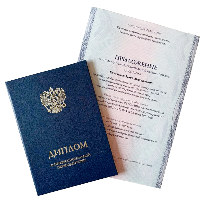 Диплом о профессиональной переподготовке