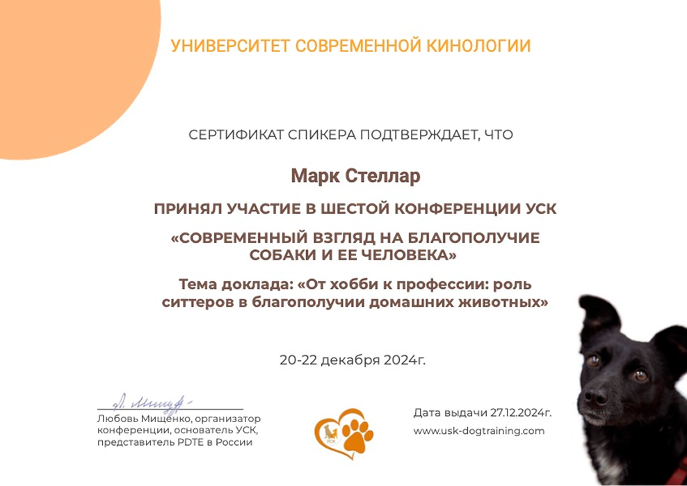 Сертификат спикера конференции