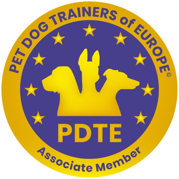 PDTE Associate Member