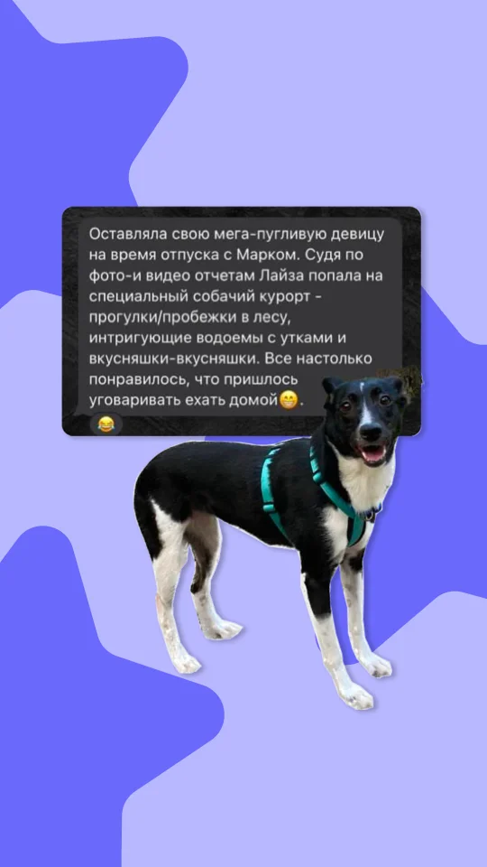 Скриншот отзыва клиента