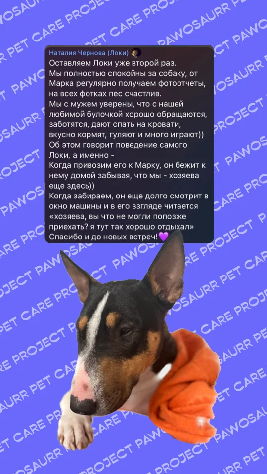 Скриншот отзыва клиента