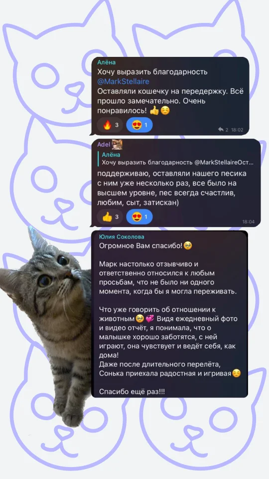 Скриншот отзыва клиента