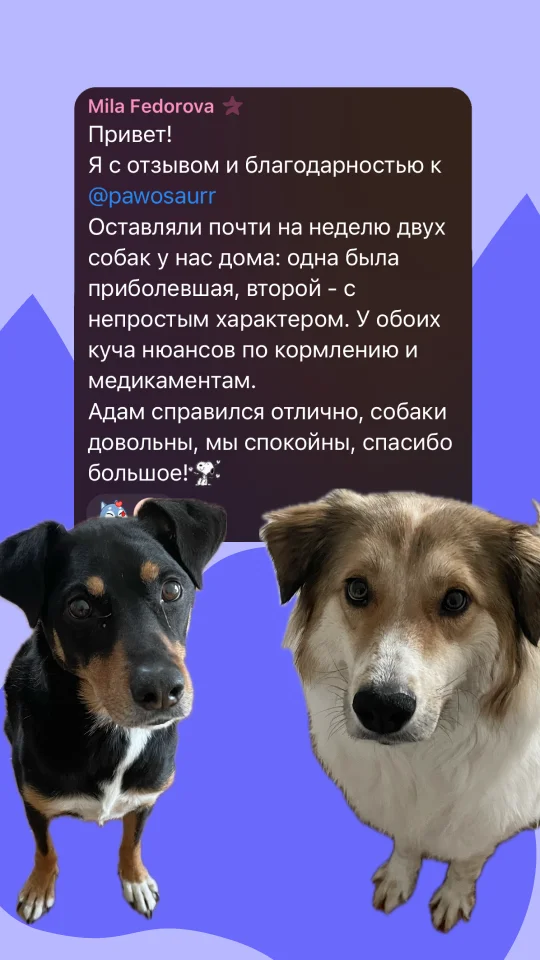 Скриншот отзыва клиента