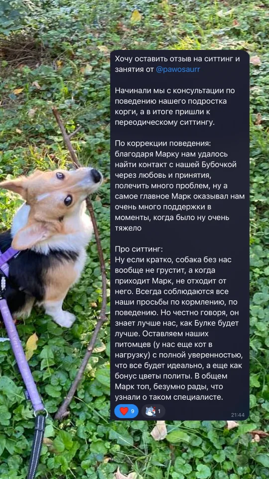 Скриншот отзыва клиента