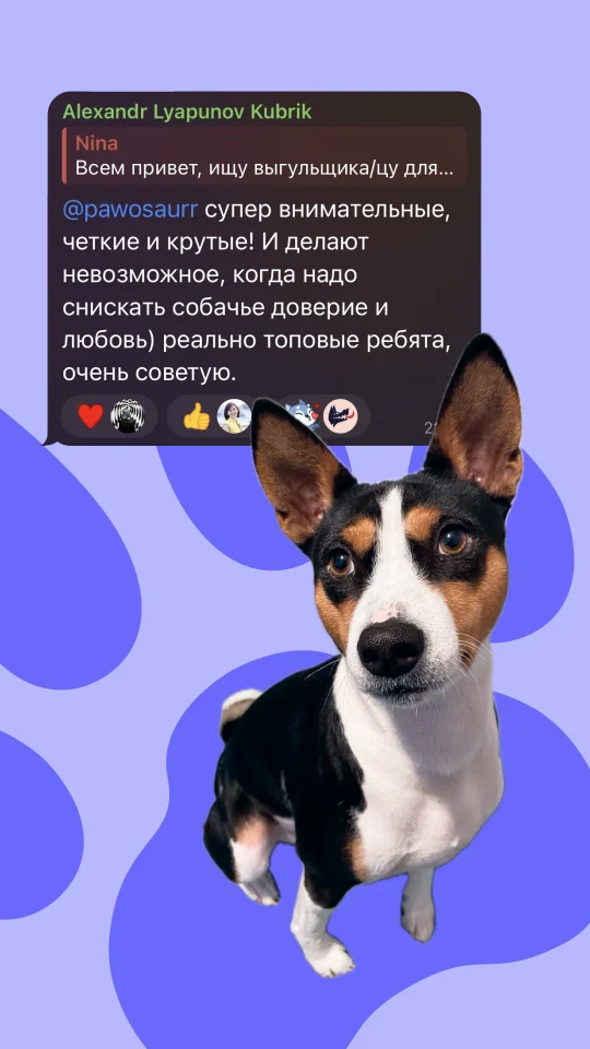 Скриншот отзыва клиента