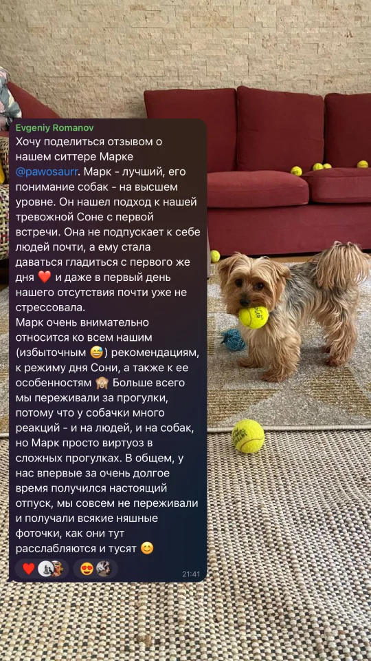 Скриншот отзыва клиента