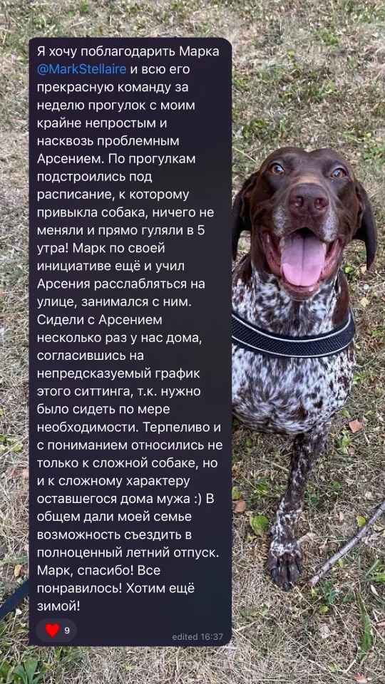 Скриншот отзыва клиента