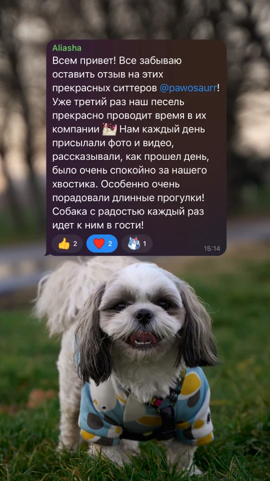 Скриншот отзыва клиента