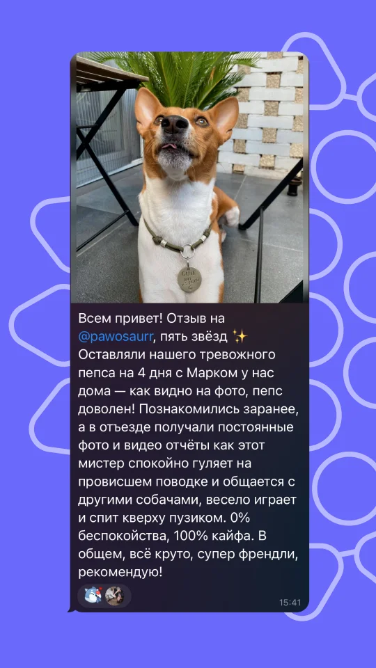Скриншот отзыва клиента