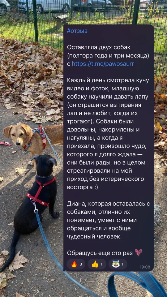 Скриншот отзыва клиента