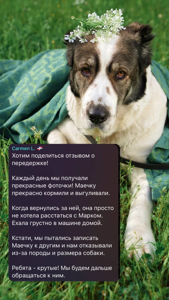 Скриншот отзыва клиента